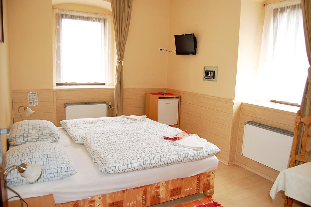 Pension U Dubu Františkovy Lázně Exterior foto